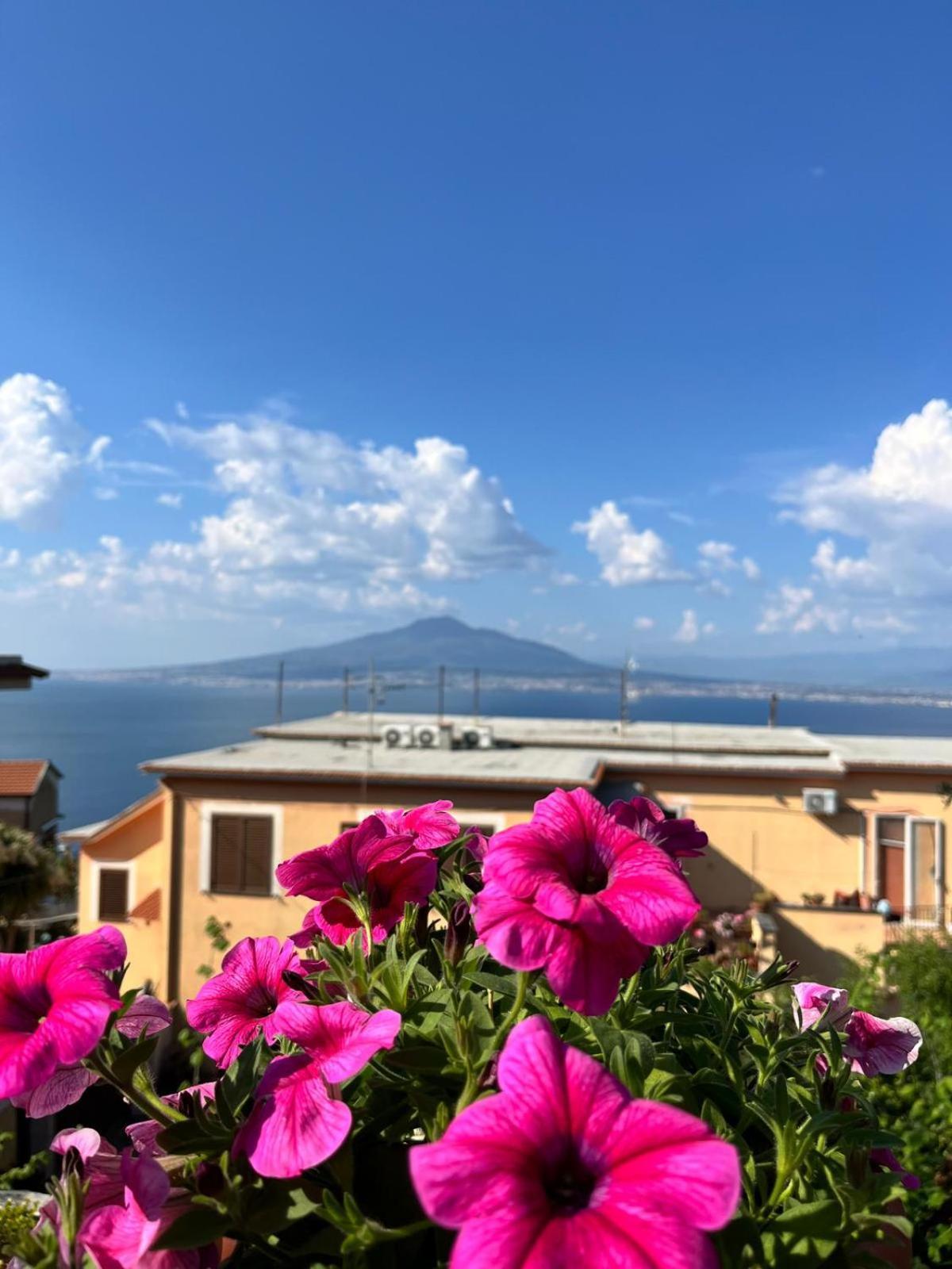 Elisabeth Seaview Apartments Sorrento Coast Вико Екуензе Екстериор снимка